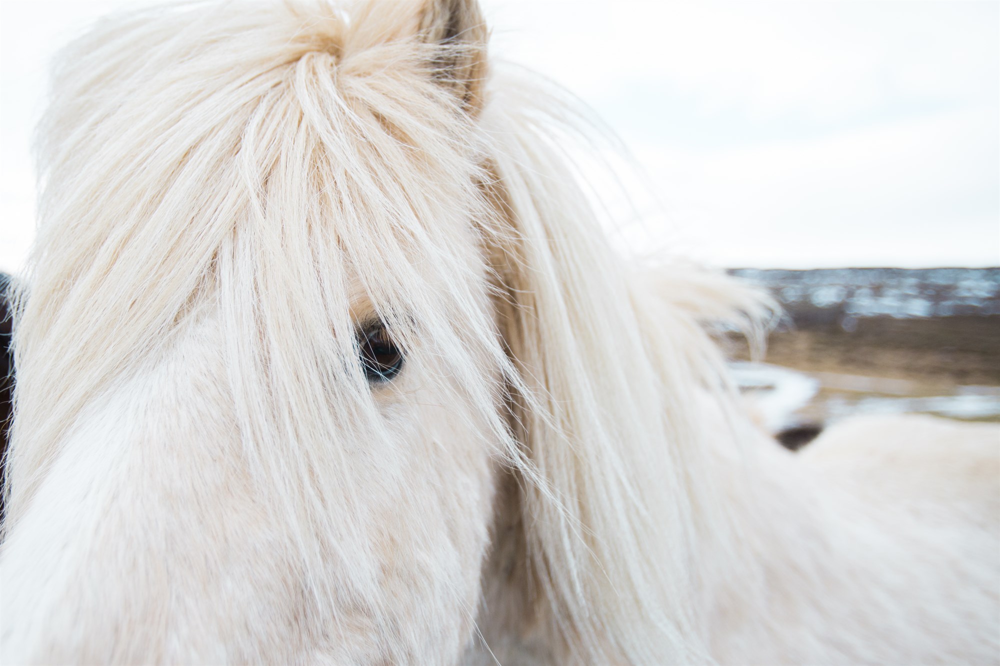 5 legends of Iceland's Mythology