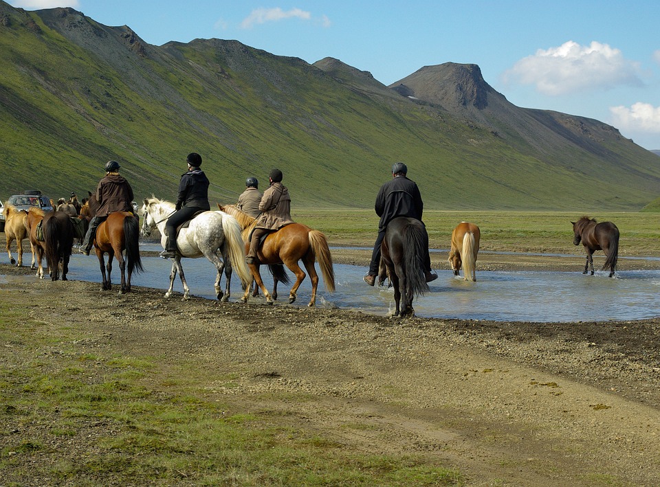 Best places and horseback riding tours in Iceland